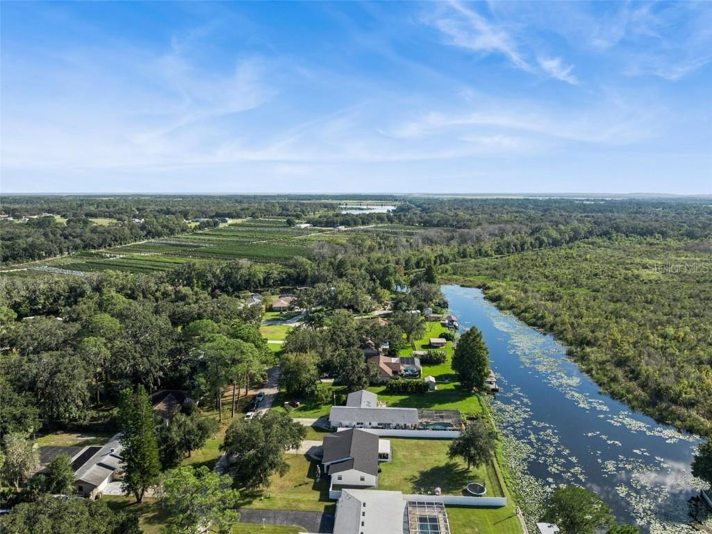 27922 Tammi Drive Tavares FL 32778 O6352517 image36