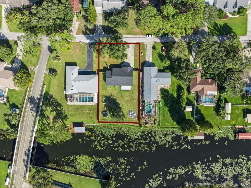 27922 Tammi Drive Tavares FL 32778 O6352517 image41