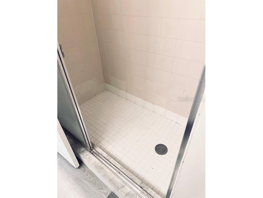 2794 Countryside Boulevard #2 Clearwater FL 33761 TB8411338 image19