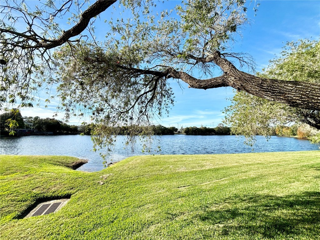 2794 Countryside Boulevard #2 Clearwater FL 33761 TB8411338 image41