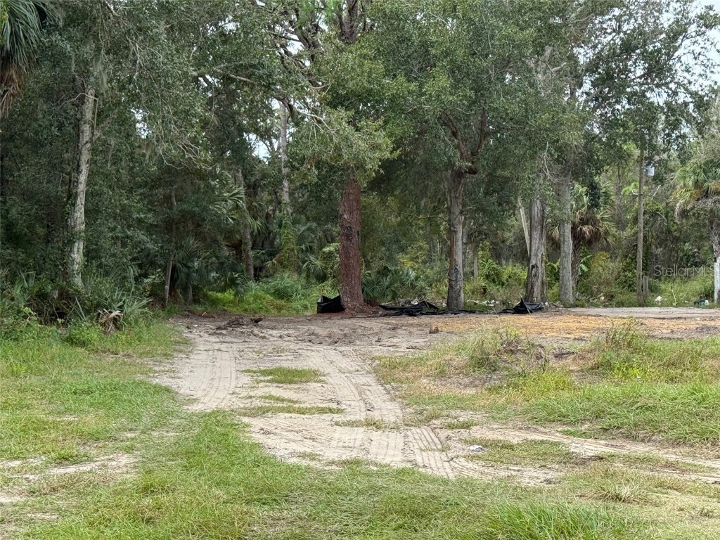 2794 S Ridgewood Avenue S Edgewater FL 32141 NS1086312 image1