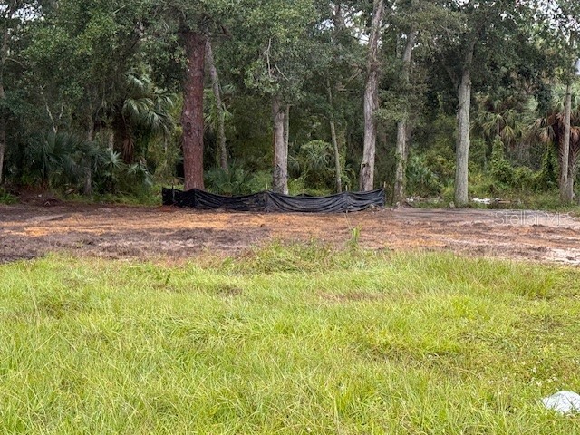 2794 S Ridgewood Avenue S Edgewater FL 32141 NS1086312 image10