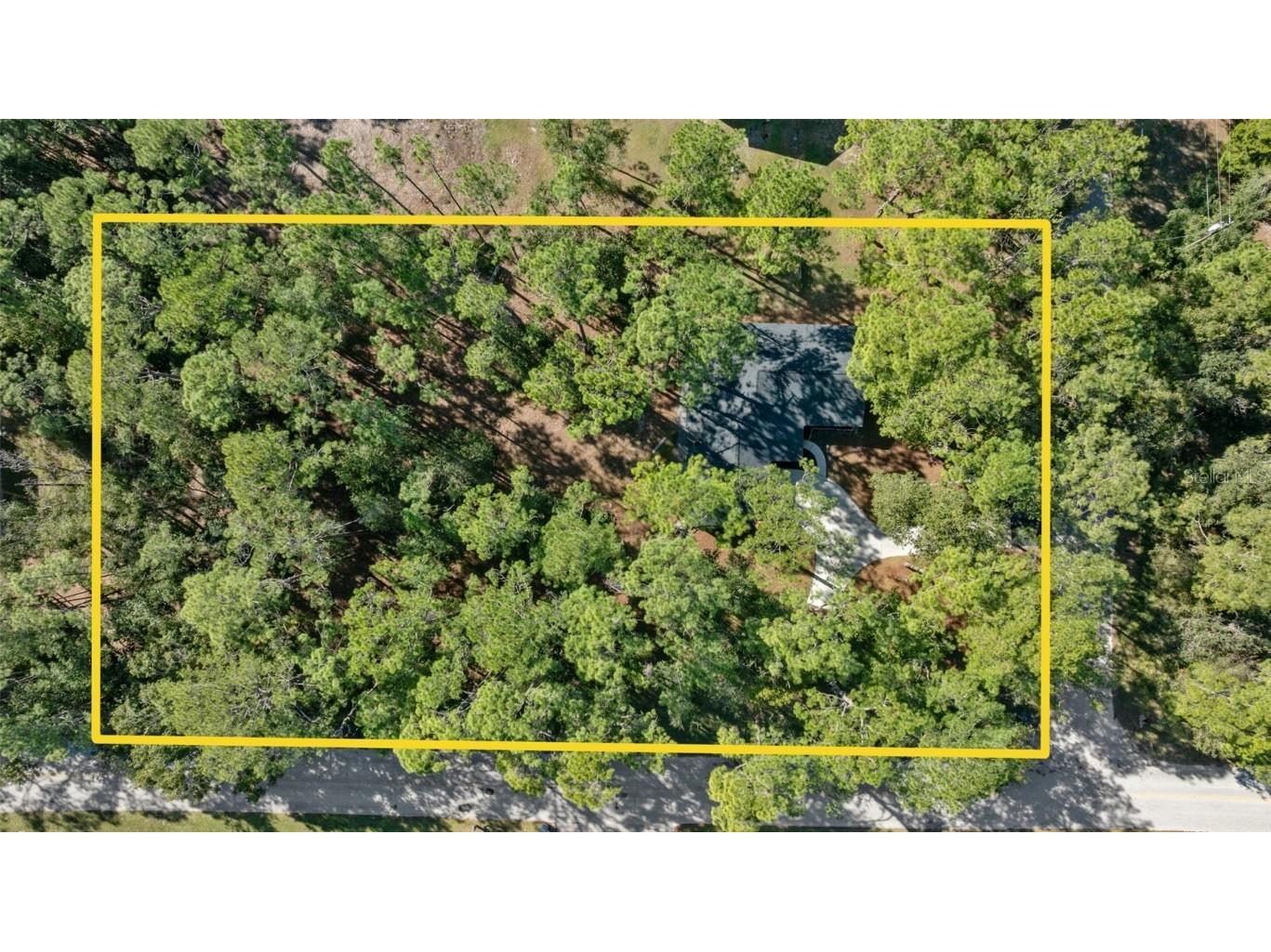 27944 Green Willow Run Wesley Chapel FL 33544 TB8447171 image3