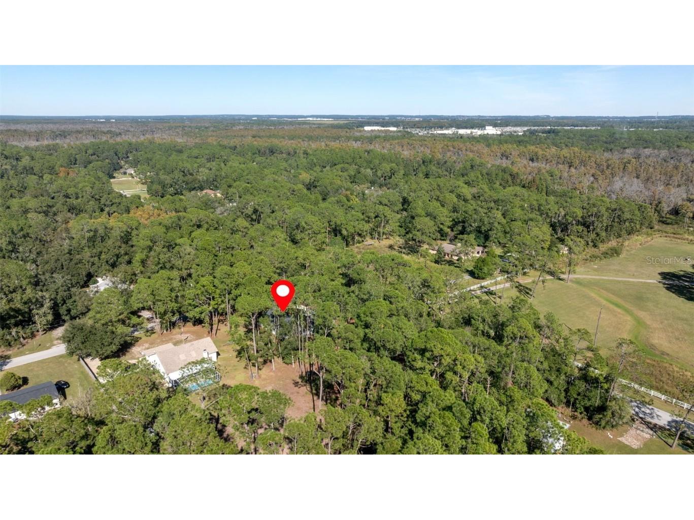 27944 Green Willow Run Wesley Chapel FL 33544 TB8447171 image34