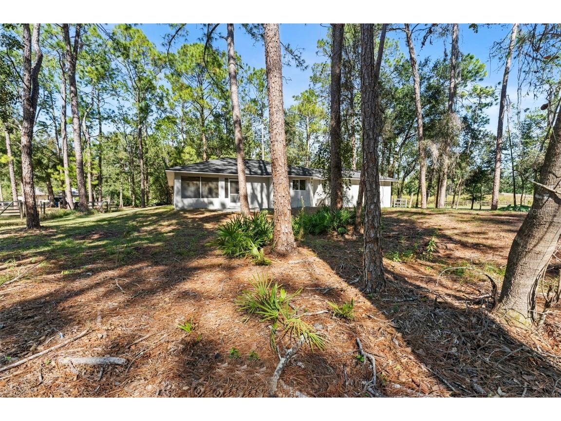 27944 Green Willow Run Wesley Chapel FL 33544 TB8447171 image38