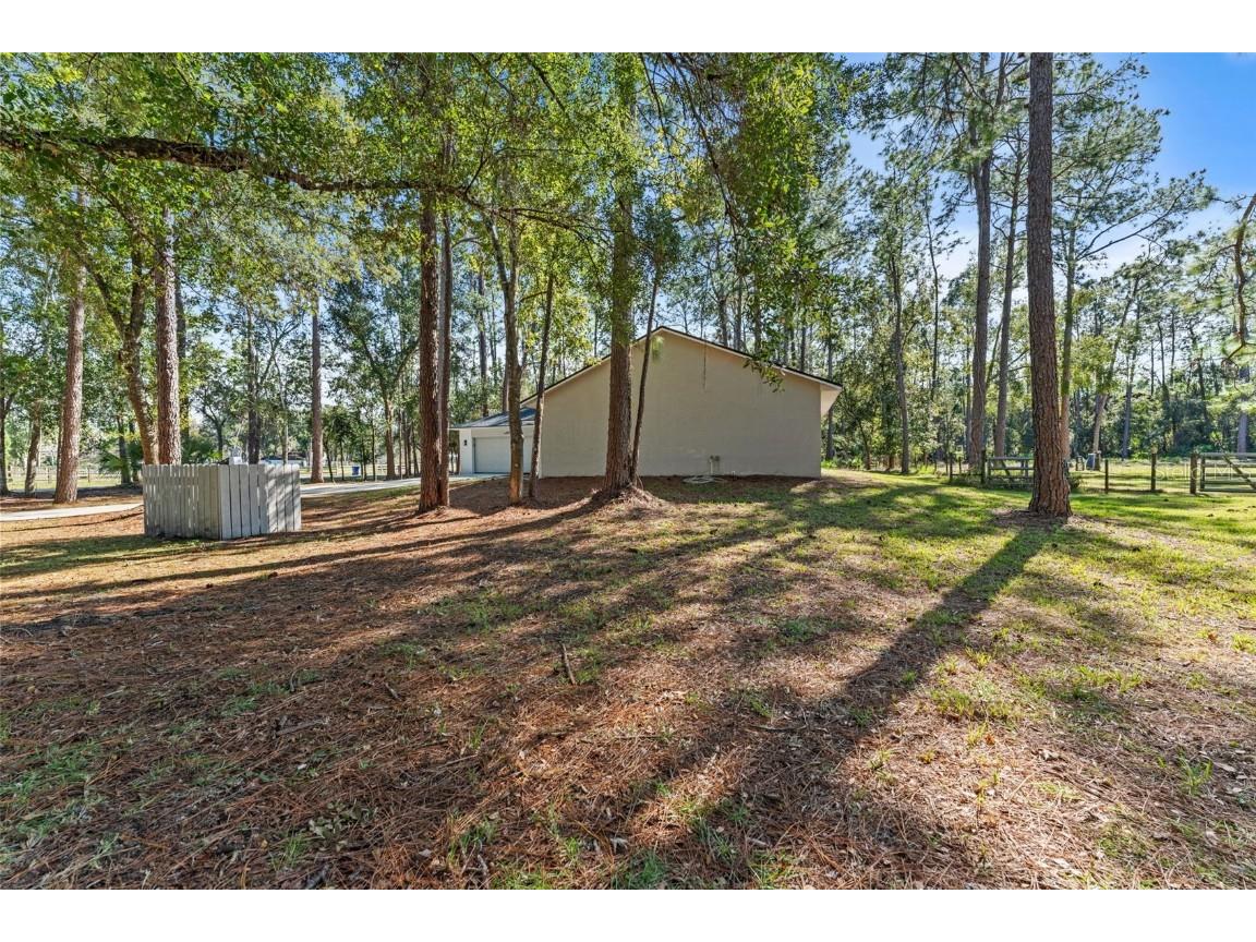 27944 Green Willow Run Wesley Chapel FL 33544 TB8447171 image39