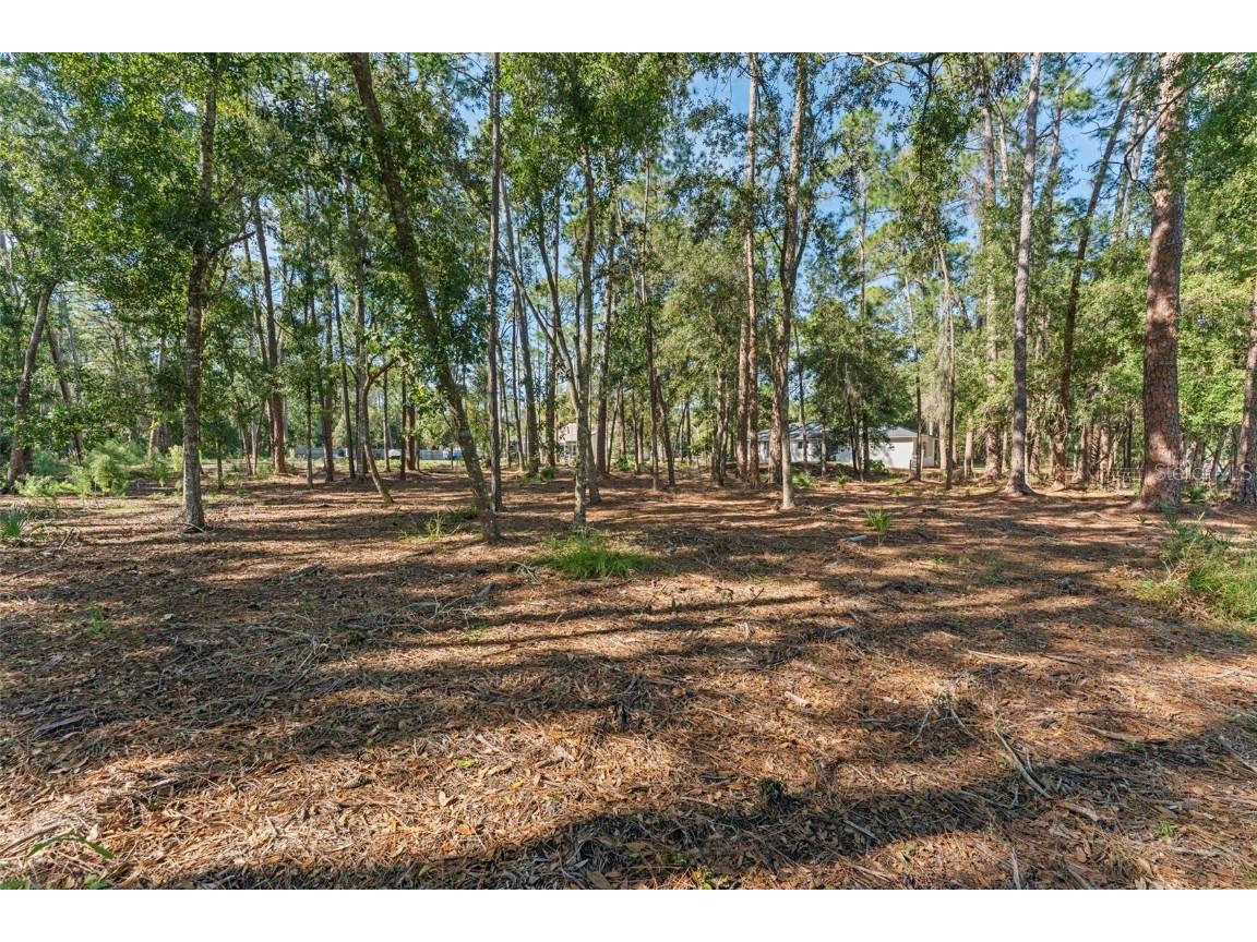 27944 Green Willow Run Wesley Chapel FL 33544 TB8447171 image40