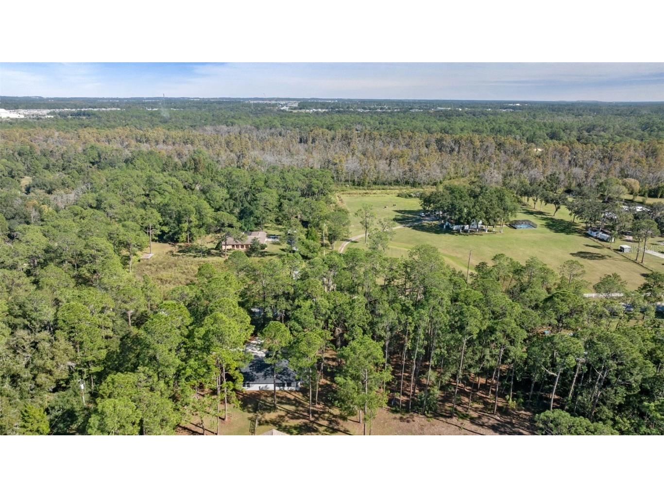 27944 Green Willow Run Wesley Chapel FL 33544 TB8447171 image44