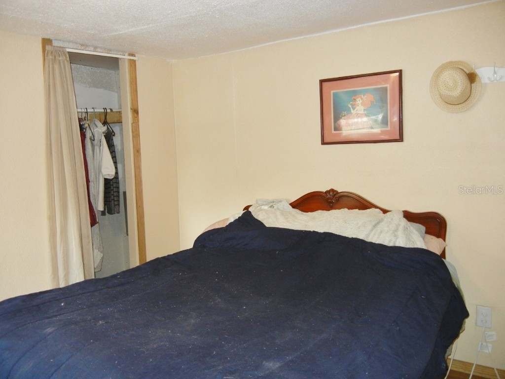 27945 Veva Avenue Paisley FL 32767 G5089309 image17