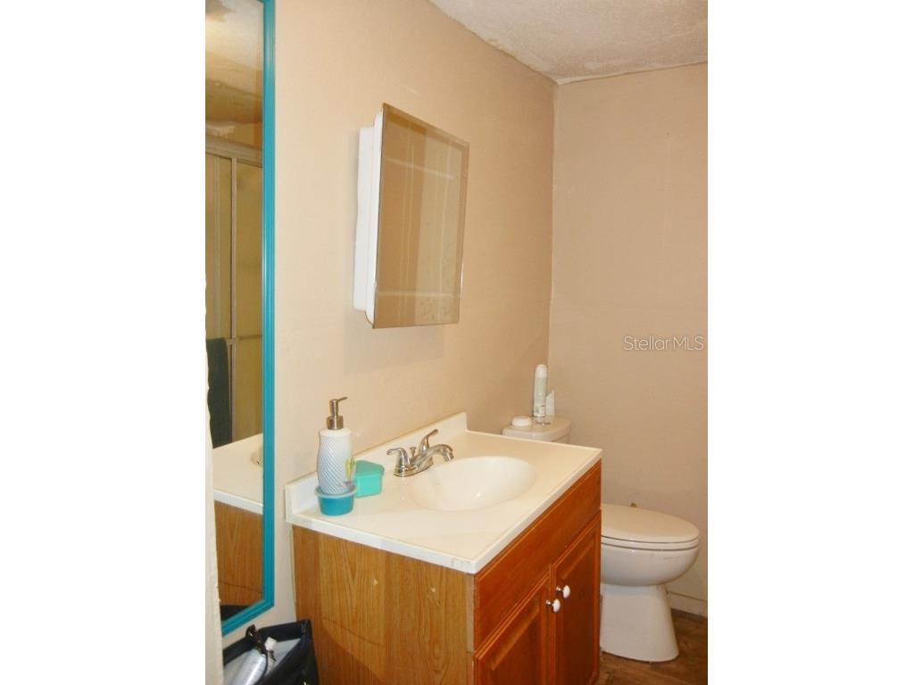 27945 Veva Avenue Paisley FL 32767 G5089309 image21