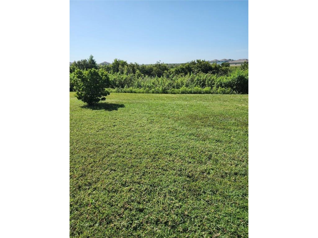 2795 Grandbury Grove Road Lakeland FL 33811 L4954371 image17