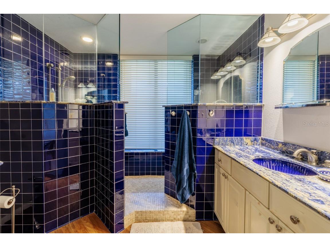 2795 Kipps Colony Drive S #101-102 Saint Petersburg FL 33707 TB8440076 image33