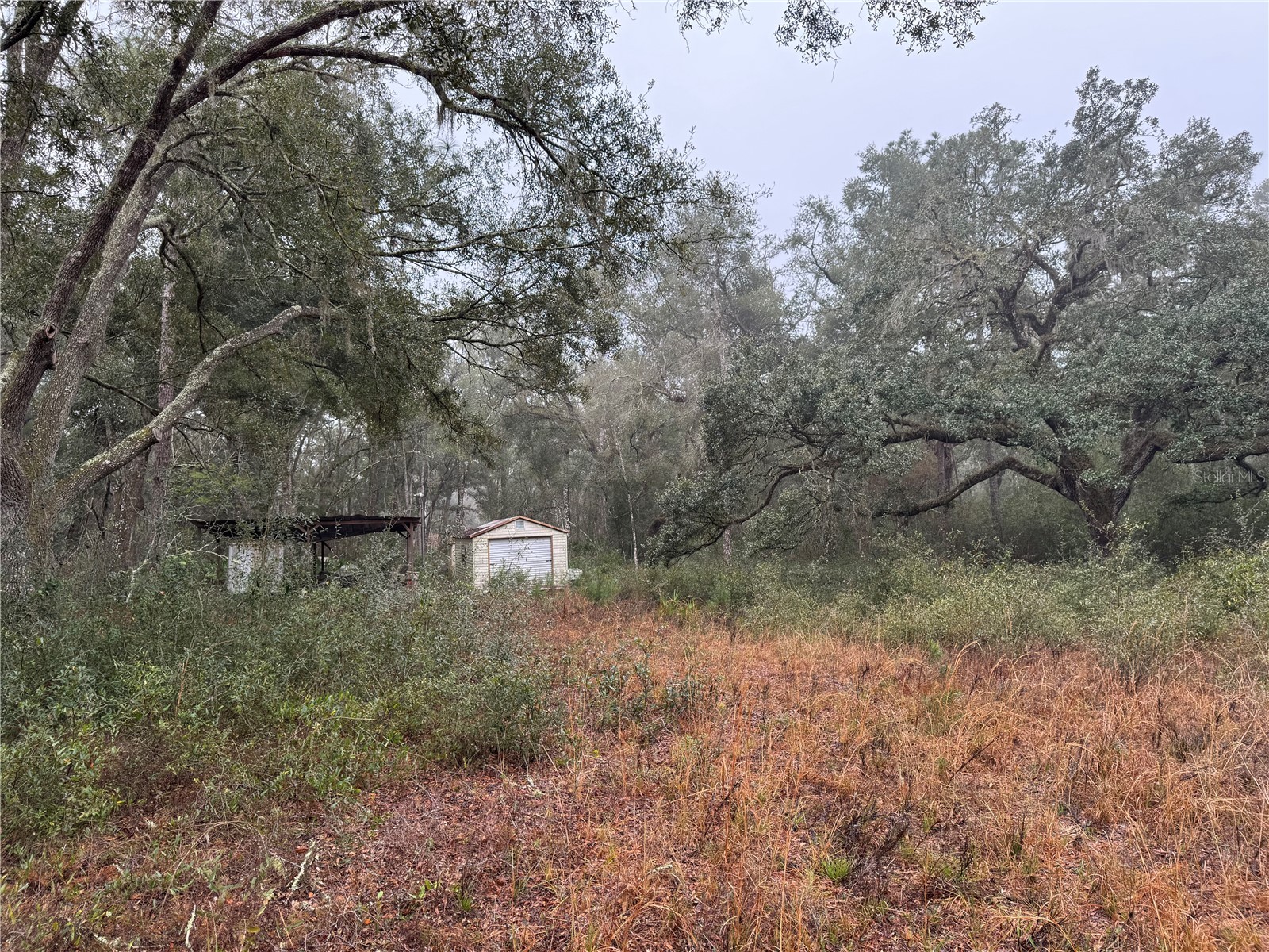 2795 SE 21st Avenue Sumterville FL 33585 TB8488209 image10