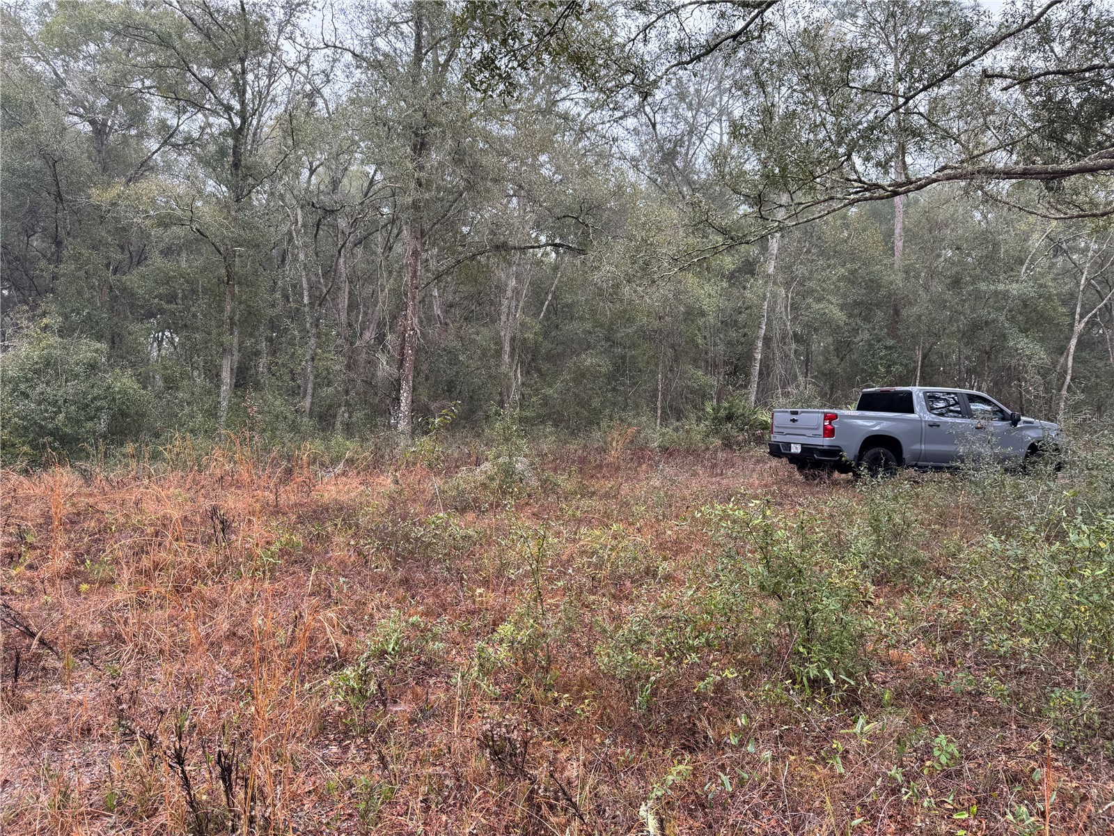 2795 SE 21st Avenue Sumterville FL 33585 TB8488209 image11