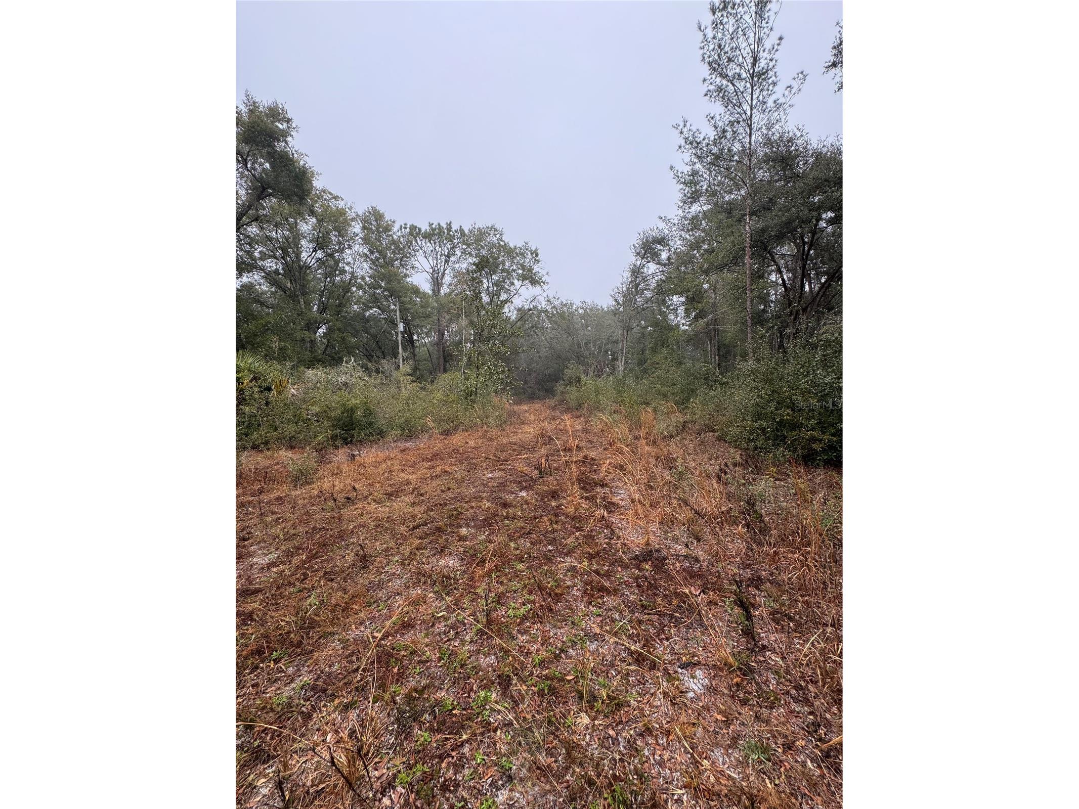 2795 SE 21st Avenue Sumterville FL 33585 TB8488209 image12