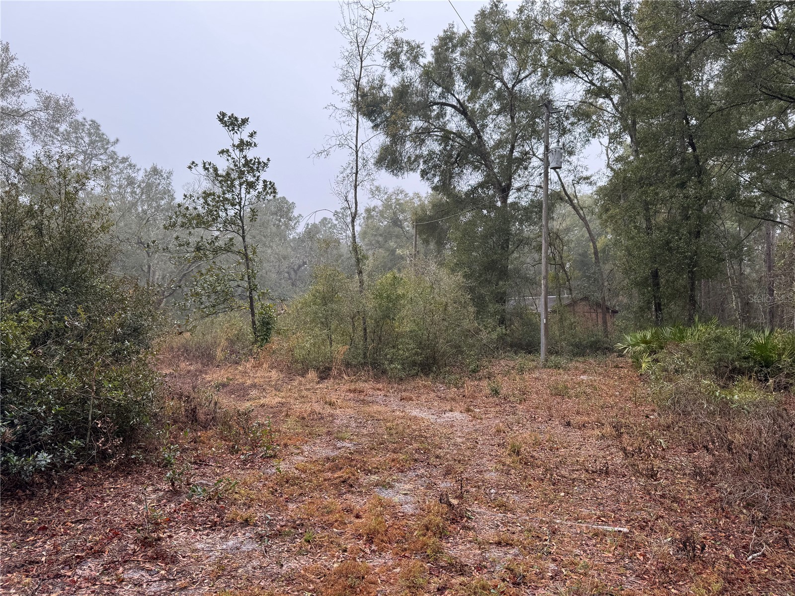 2795 SE 21st Avenue Sumterville FL 33585 TB8488209 image13