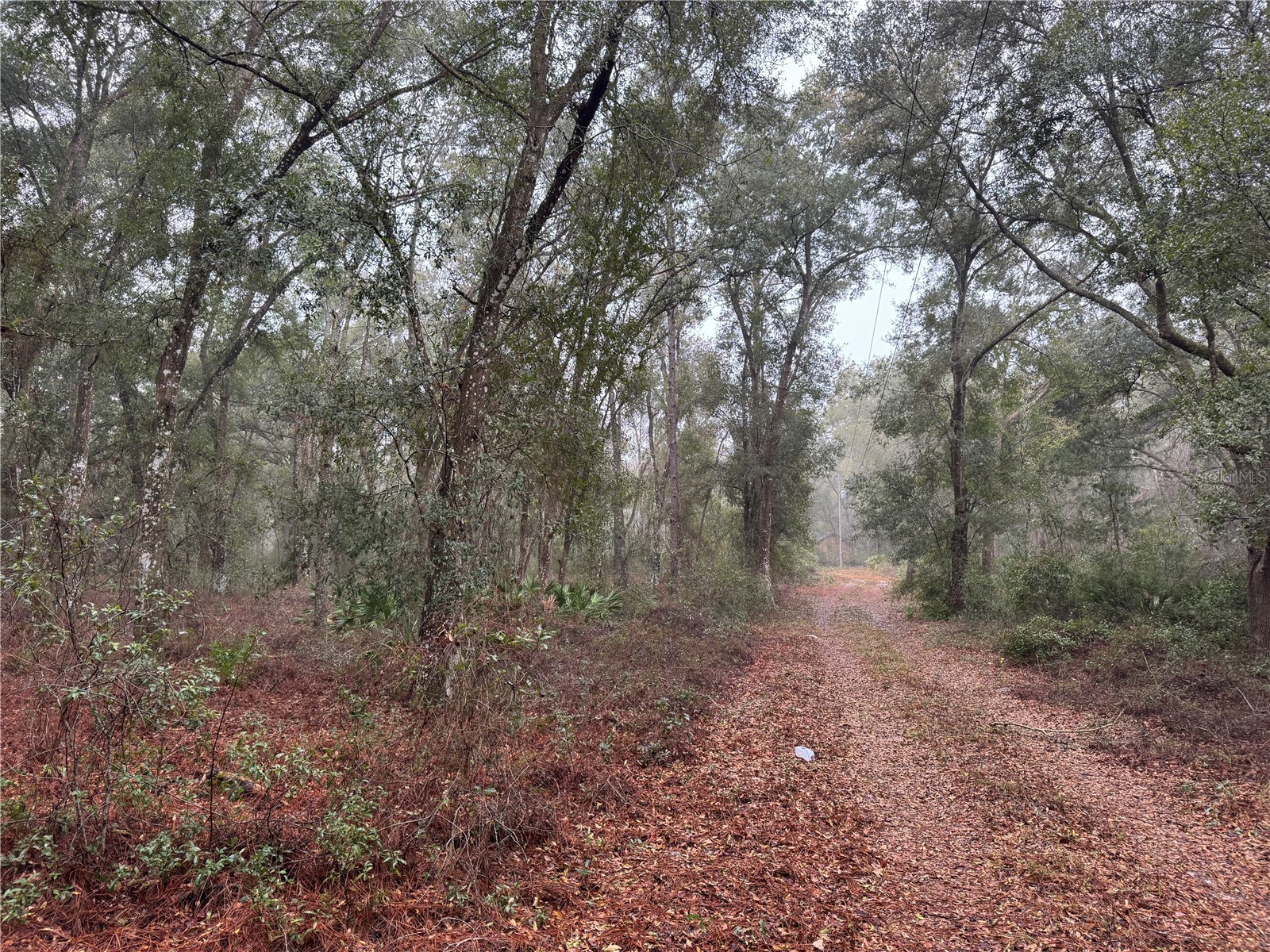 2795 SE 21st Avenue Sumterville FL 33585 TB8488209 image2