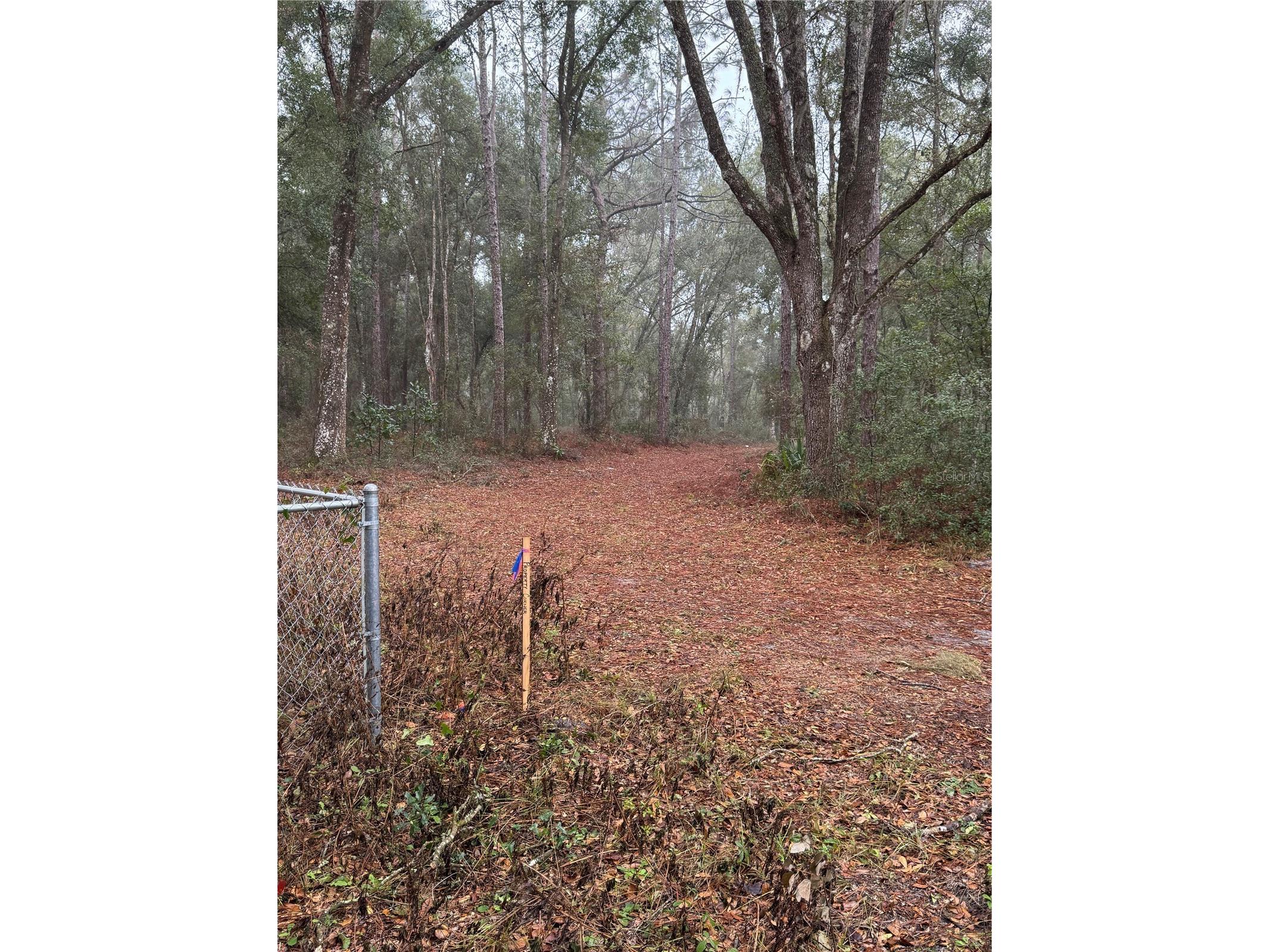 2795 SE 21st Avenue Sumterville FL 33585 TB8488209 image4