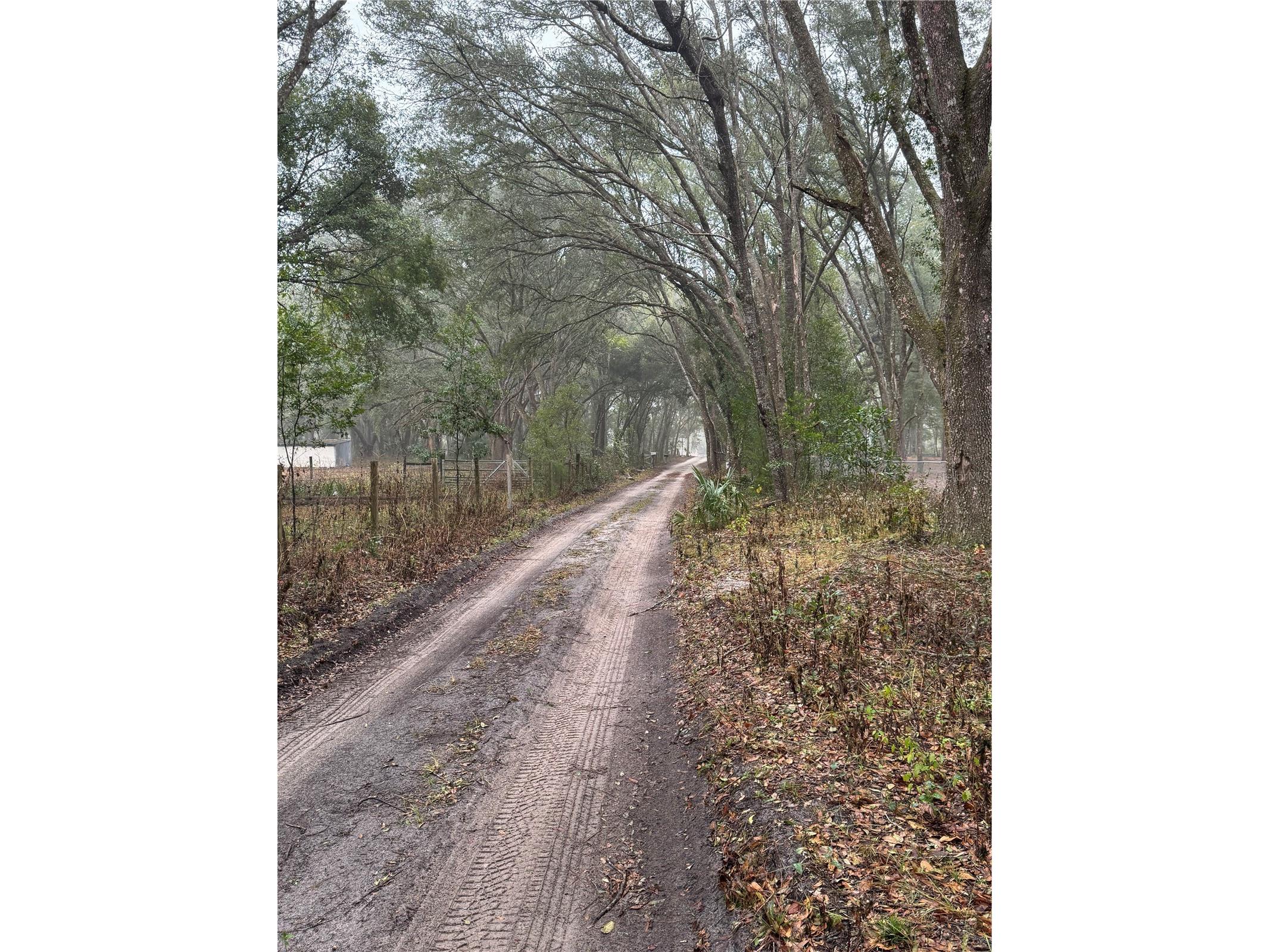 2795 SE 21st Avenue Sumterville FL 33585 TB8488209 image5