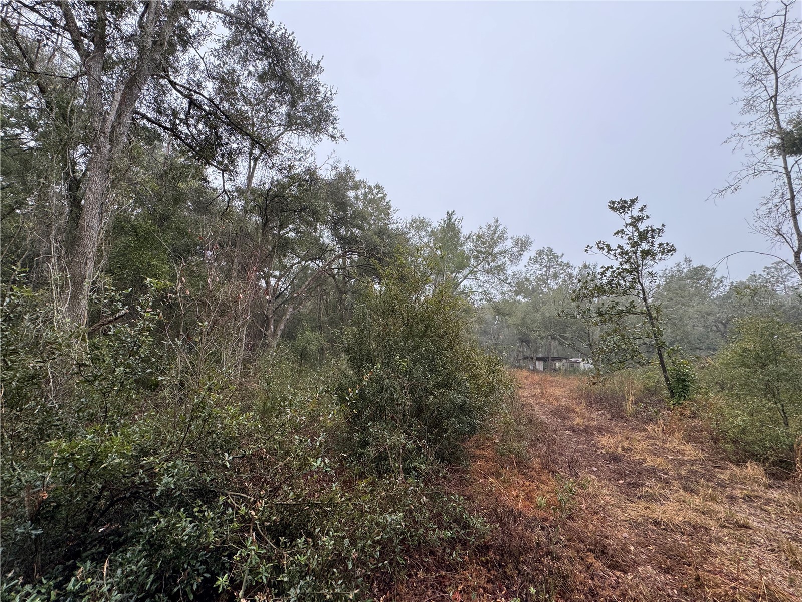 2795 SE 21st Avenue Sumterville FL 33585 TB8488209 image6
