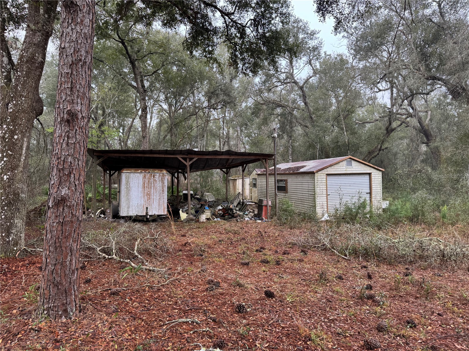 2795 SE 21st Avenue Sumterville FL 33585 TB8488209 image7