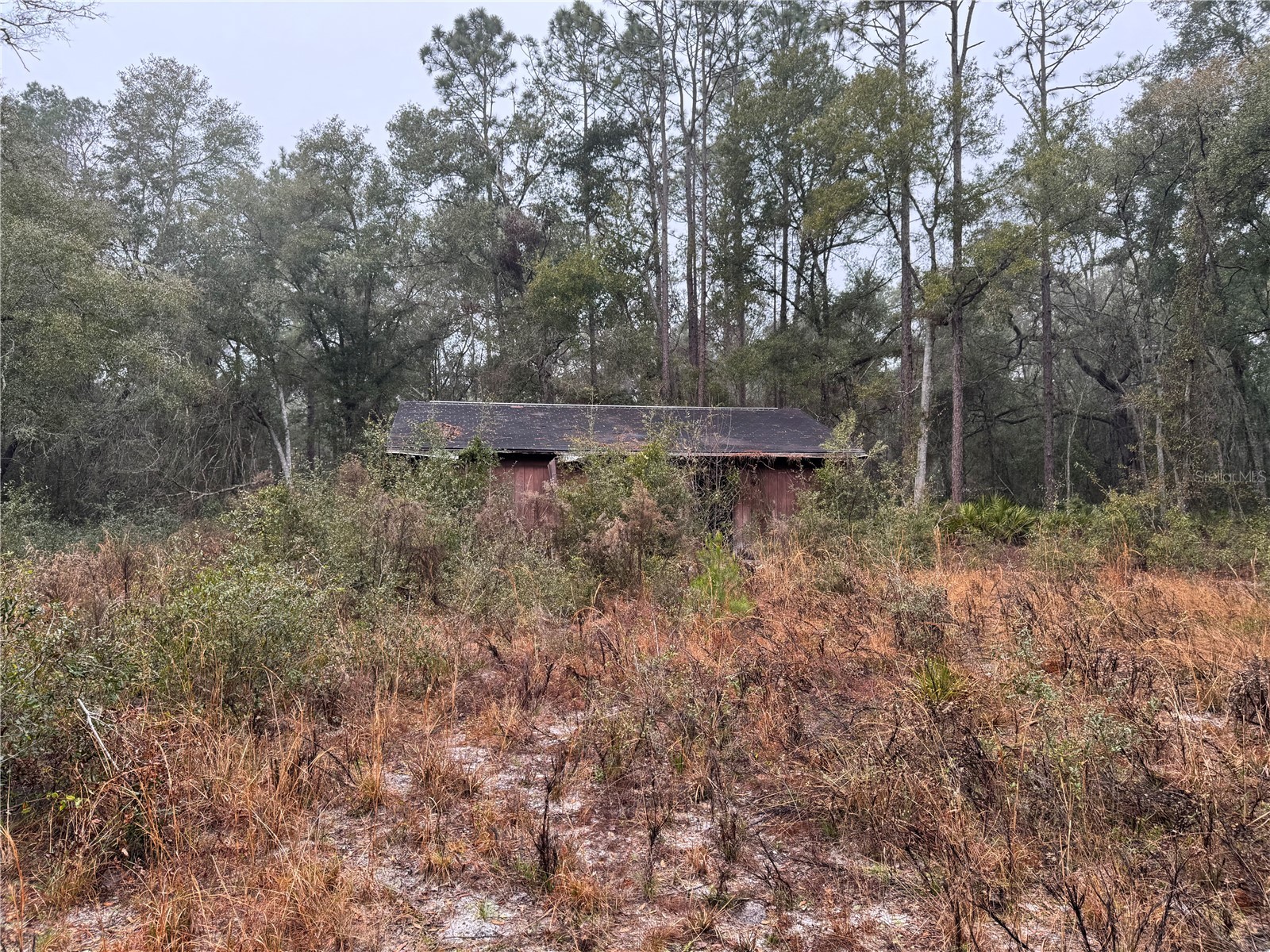 2795 SE 21st Avenue Sumterville FL 33585 TB8488209 image8