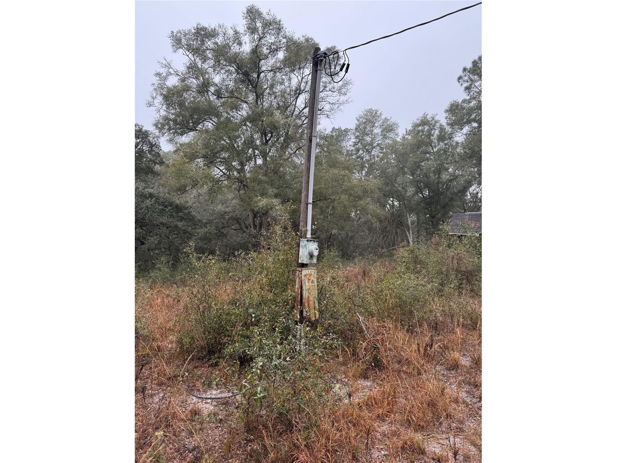 2795 SE 21st Avenue Sumterville FL 33585 TB8488209 image9