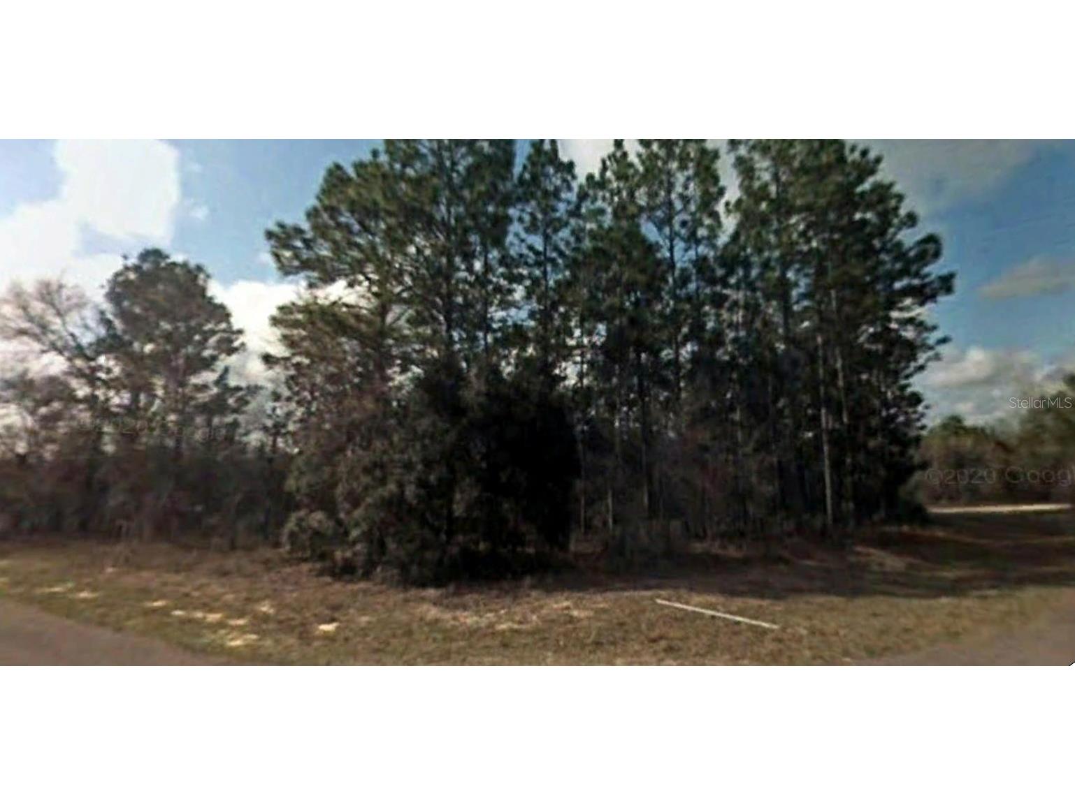 2795 W Leeward Place Citrus Springs FL 34433 O6022964 image1