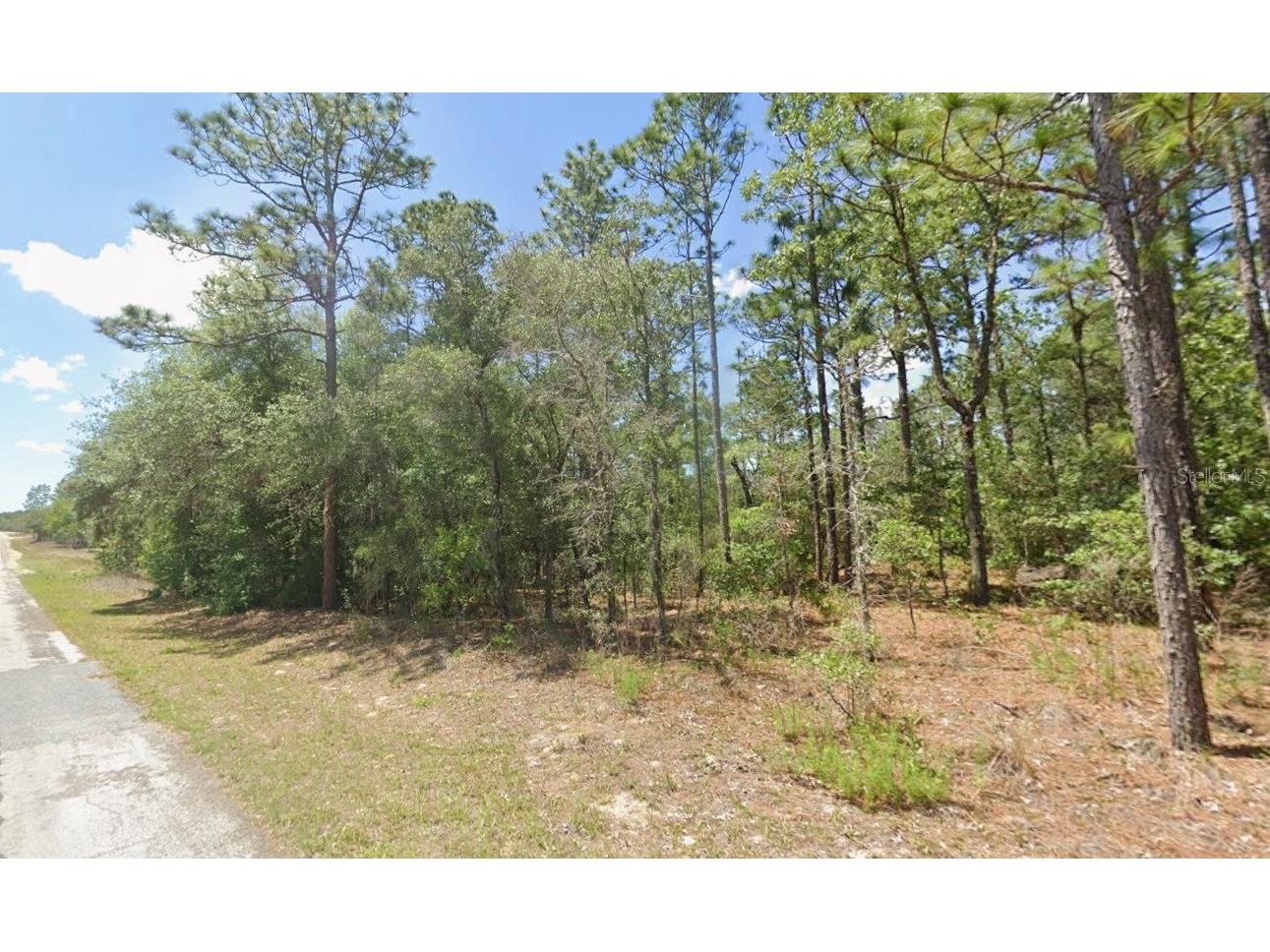 2795 W Rutland Drive Citrus Springs FL 34433 TB8466527 image1