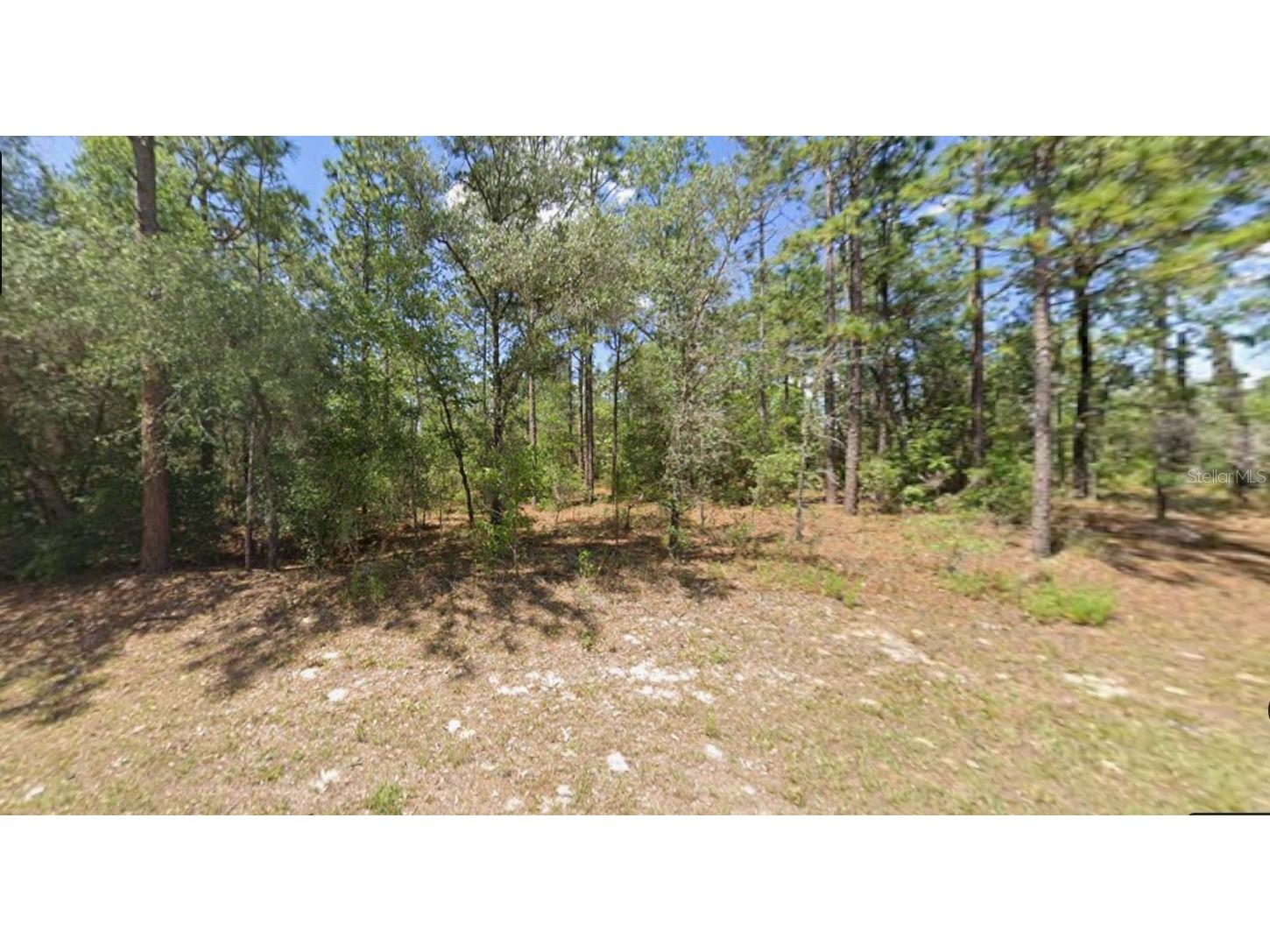 2795 W Rutland Drive Citrus Springs FL 34433 TB8466527 image2