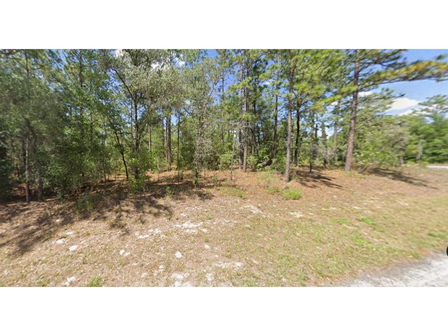 2795 W Rutland Drive Citrus Springs FL 34433 TB8466527 image3