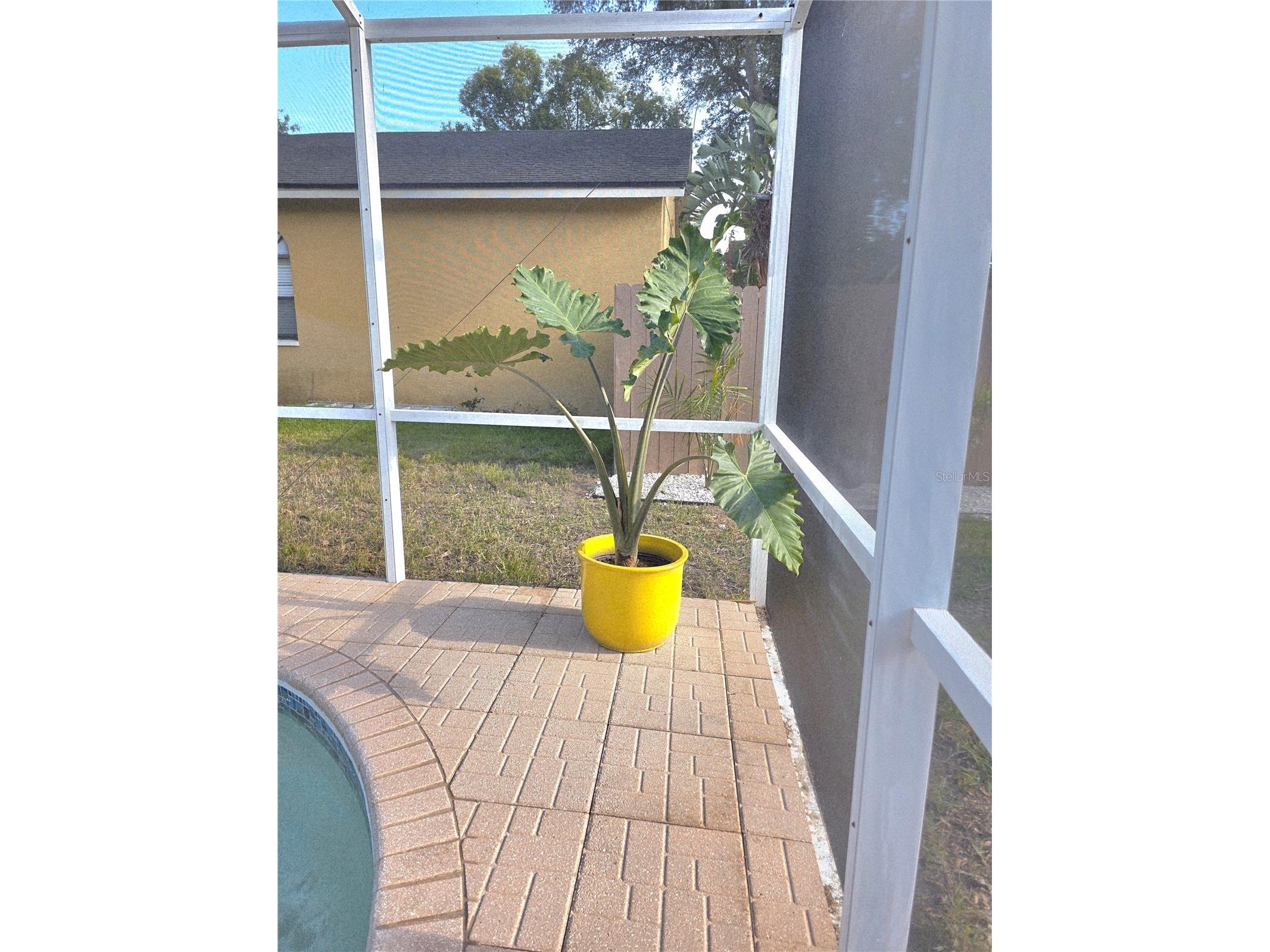 2796 Challenger Drive Palm Harbor FL 34683 TB8505103 image70