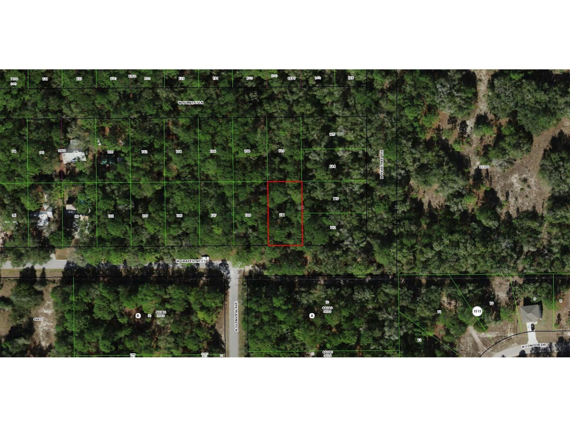 2797 W Grapevine Court Dunnellon FL 34433 OM721442 image1