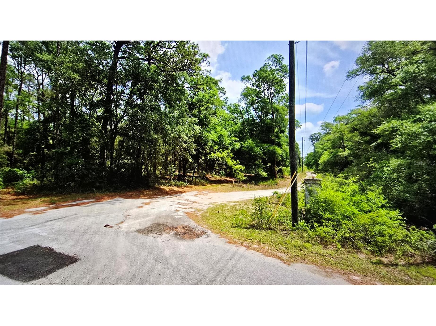 2797 W Grapevine Court Dunnellon FL 34433 OM721442 image2