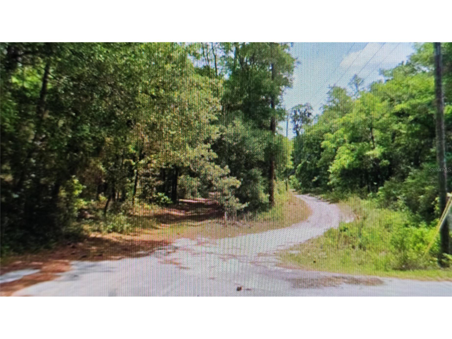2797 W Grapevine Court Dunnellon FL 34433 OM721442 image4