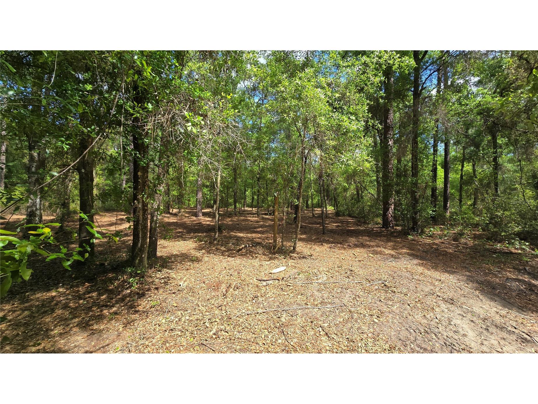 2797 W Grapevine Court Dunnellon FL 34433 OM721442 image7