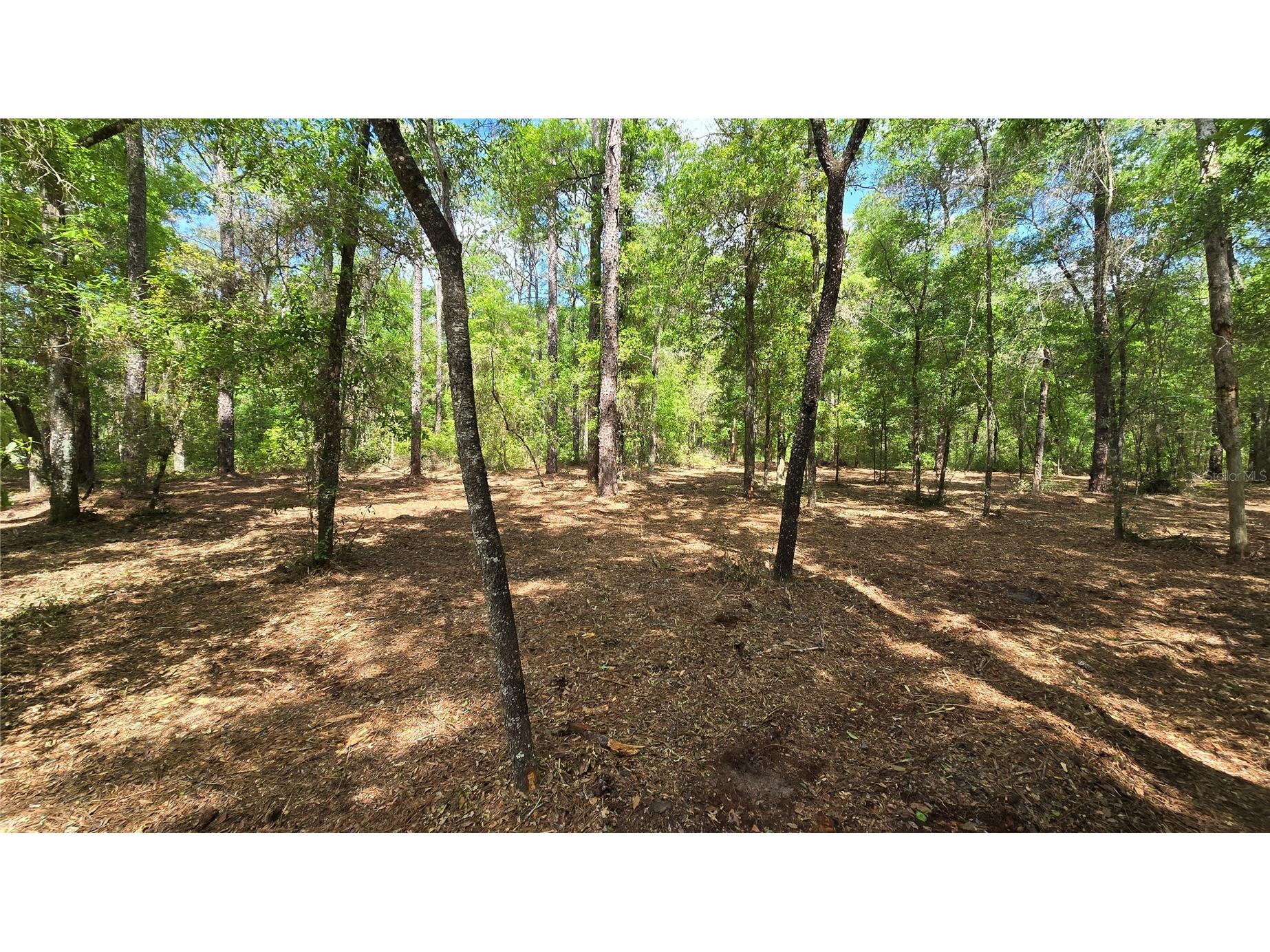 2797 W Grapevine Court Dunnellon FL 34433 OM721442 image8