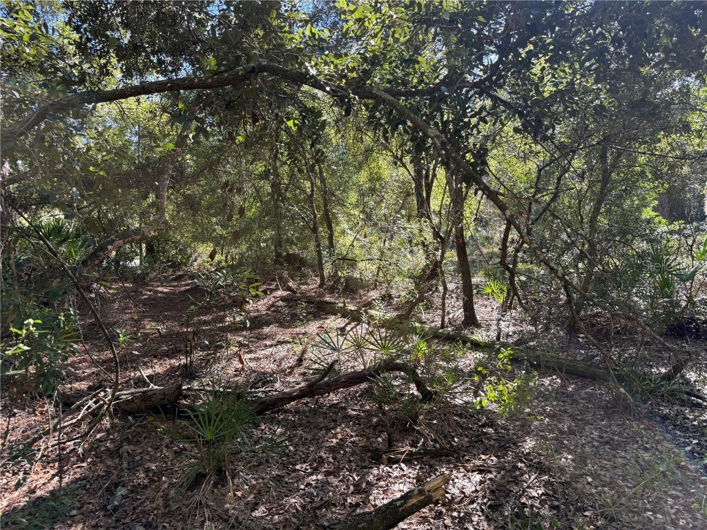 27975 Robin Roost Lane Wesley Chapel FL 33544 TB8447806 image2