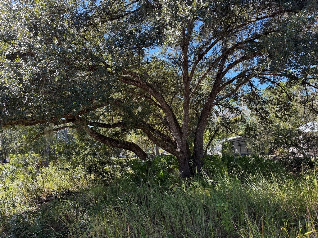 27975 Robin Roost Lane Wesley Chapel FL 33544 TB8447806 image4