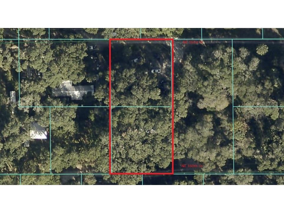 2798 NE 161st Street Citra FL 32113 OM712917 image1