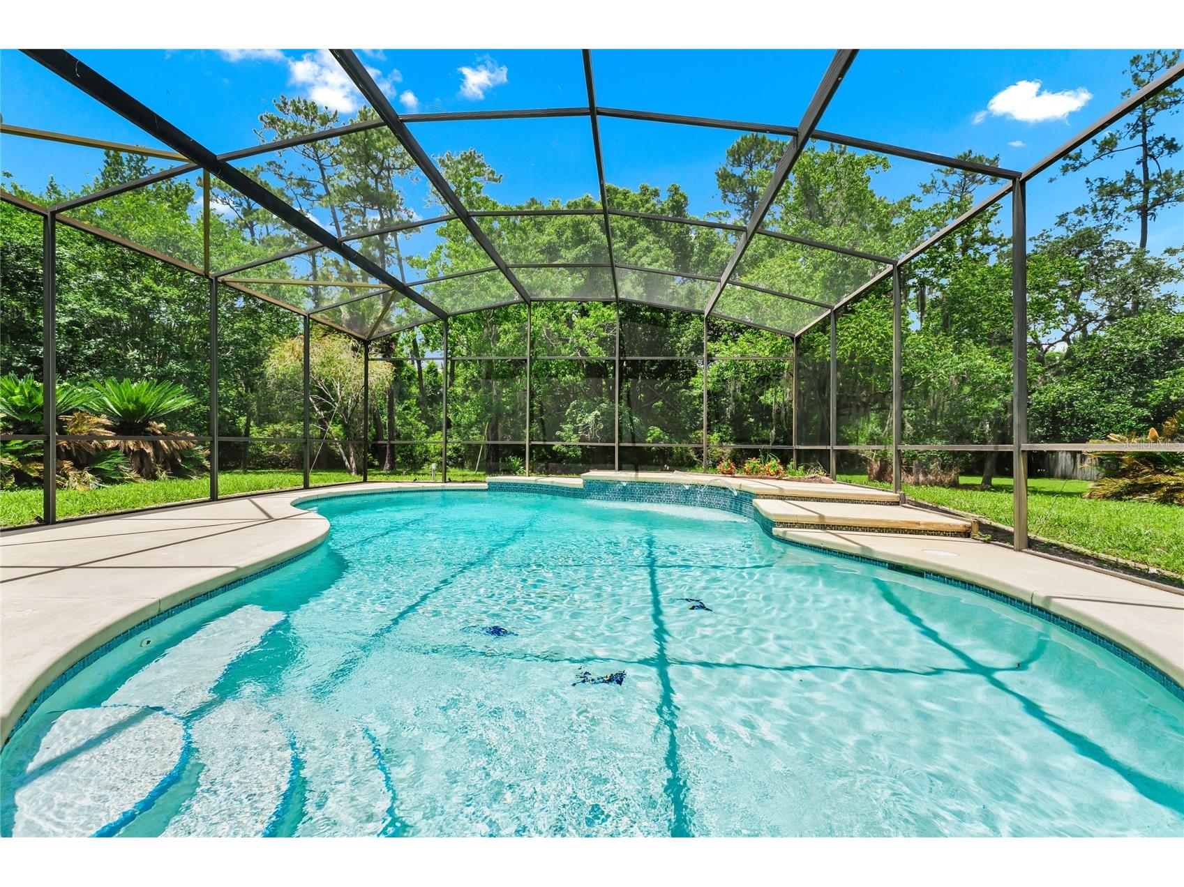2798 Pickett Downs Dr Oviedo FL 32766 O6411541 image38
