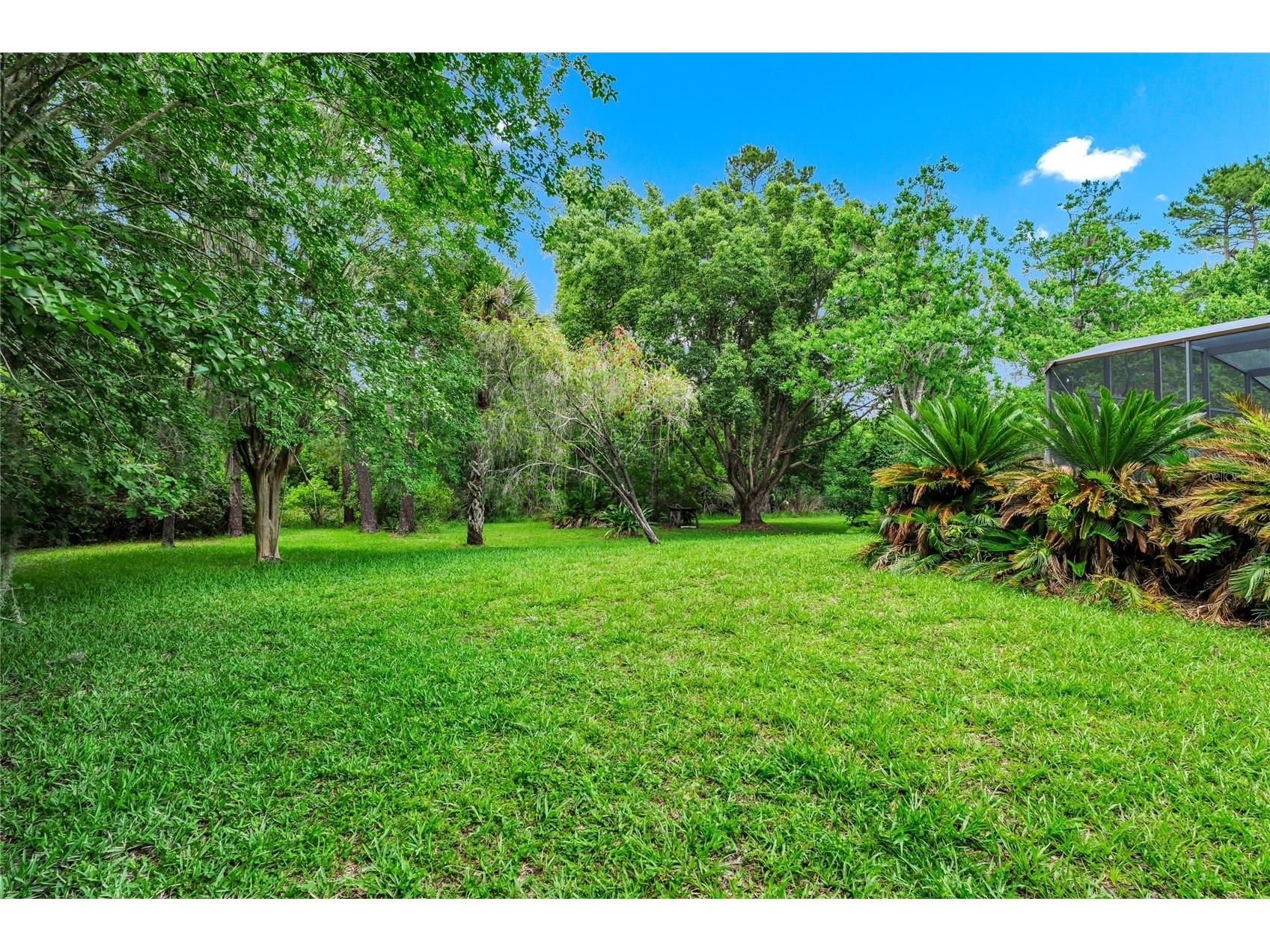 2798 Pickett Downs Dr Oviedo FL 32766 O6411541 image45