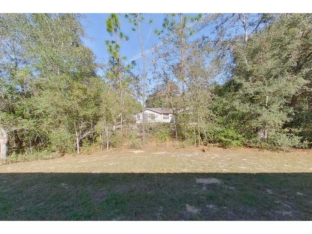 2799 W Sheila Drive Citrus Springs FL 34433 O6373599 image20