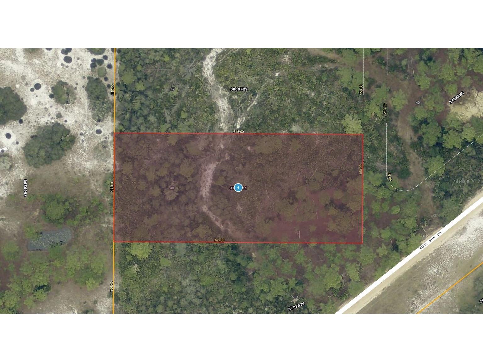 28-17-28-0004-000-03100 Buck Run Drive Paisley FL 32767 A4691866 image1