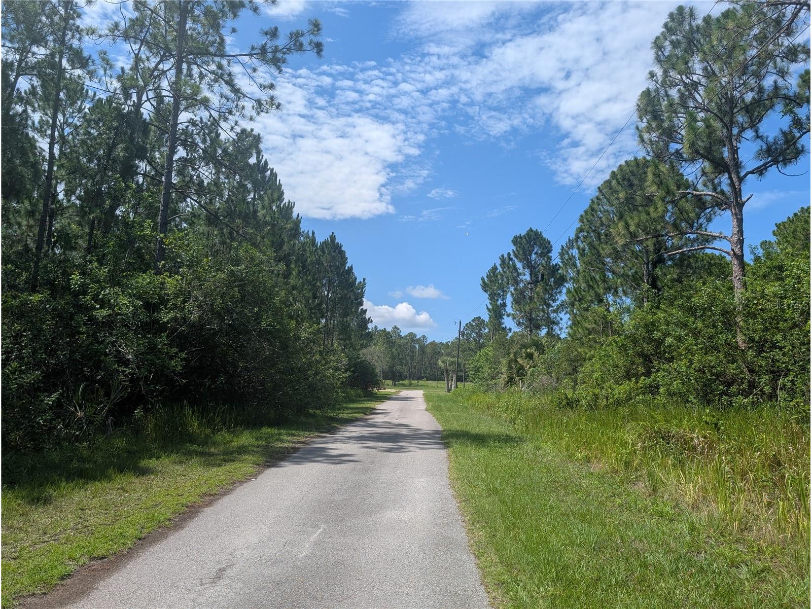 28 & 30 Amaryllis Drive Indian Lake Estates FL 33855 - LAKE WALK-IN-WATER P4939236 image11