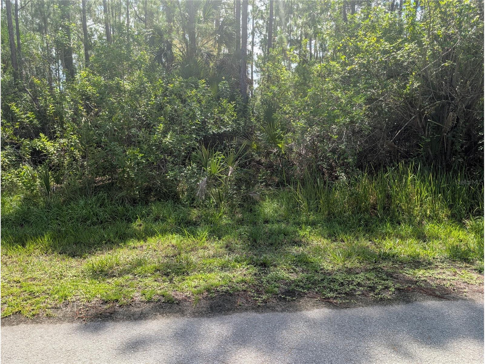 28 & 30 Amaryllis Drive Indian Lake Estates FL 33855 - LAKE WALK-IN-WATER P4939236 image12