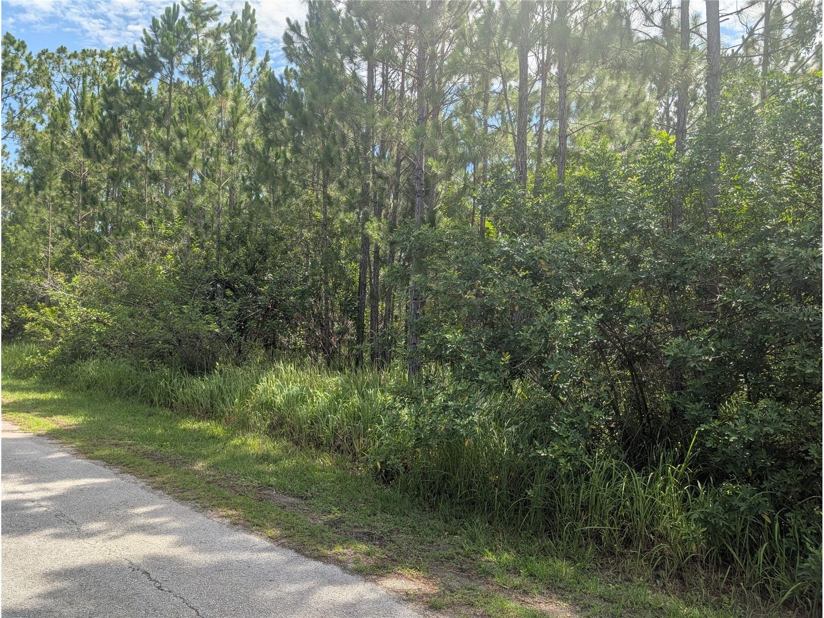 28 & 30 Amaryllis Drive Indian Lake Estates FL 33855 - LAKE WALK-IN-WATER P4939236 image13