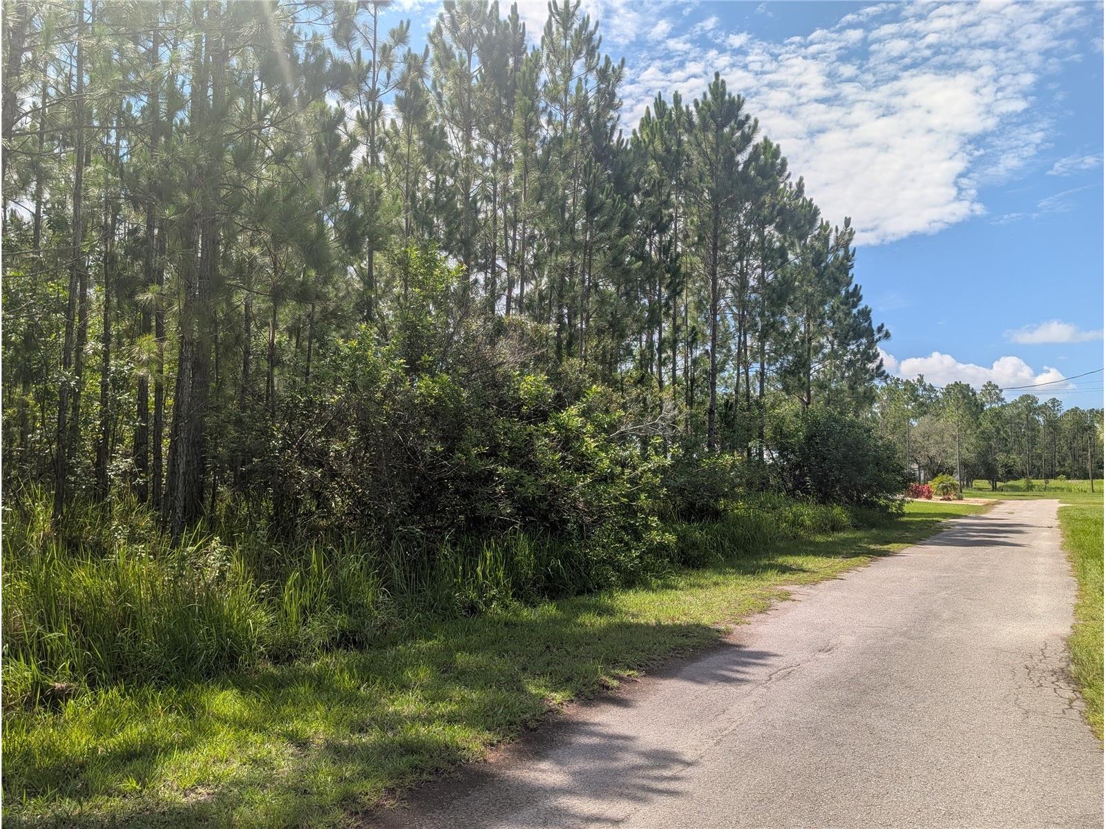 28 & 30 Amaryllis Drive Indian Lake Estates FL 33855 - LAKE WALK-IN-WATER P4939236 image14