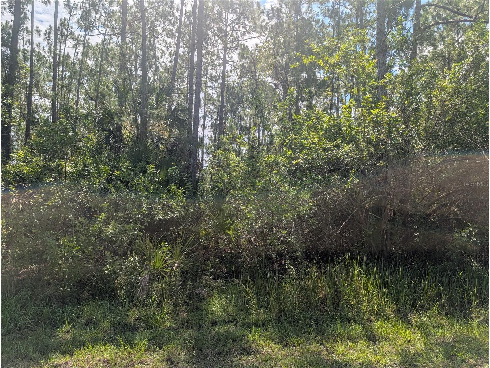 28 & 30 Amaryllis Drive Indian Lake Estates FL 33855 - LAKE WALK-IN-WATER P4939236 image15
