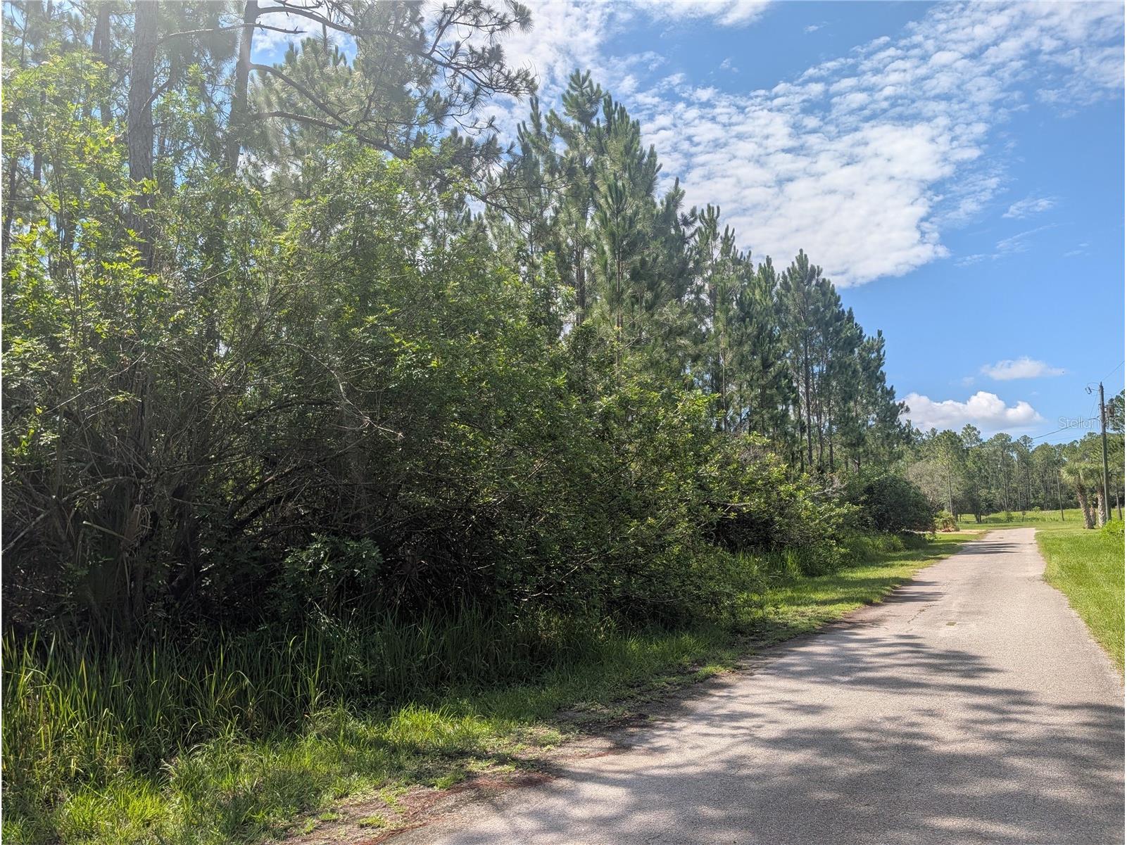 28 & 30 Amaryllis Drive Indian Lake Estates FL 33855 - LAKE WALK-IN-WATER P4939236 image16